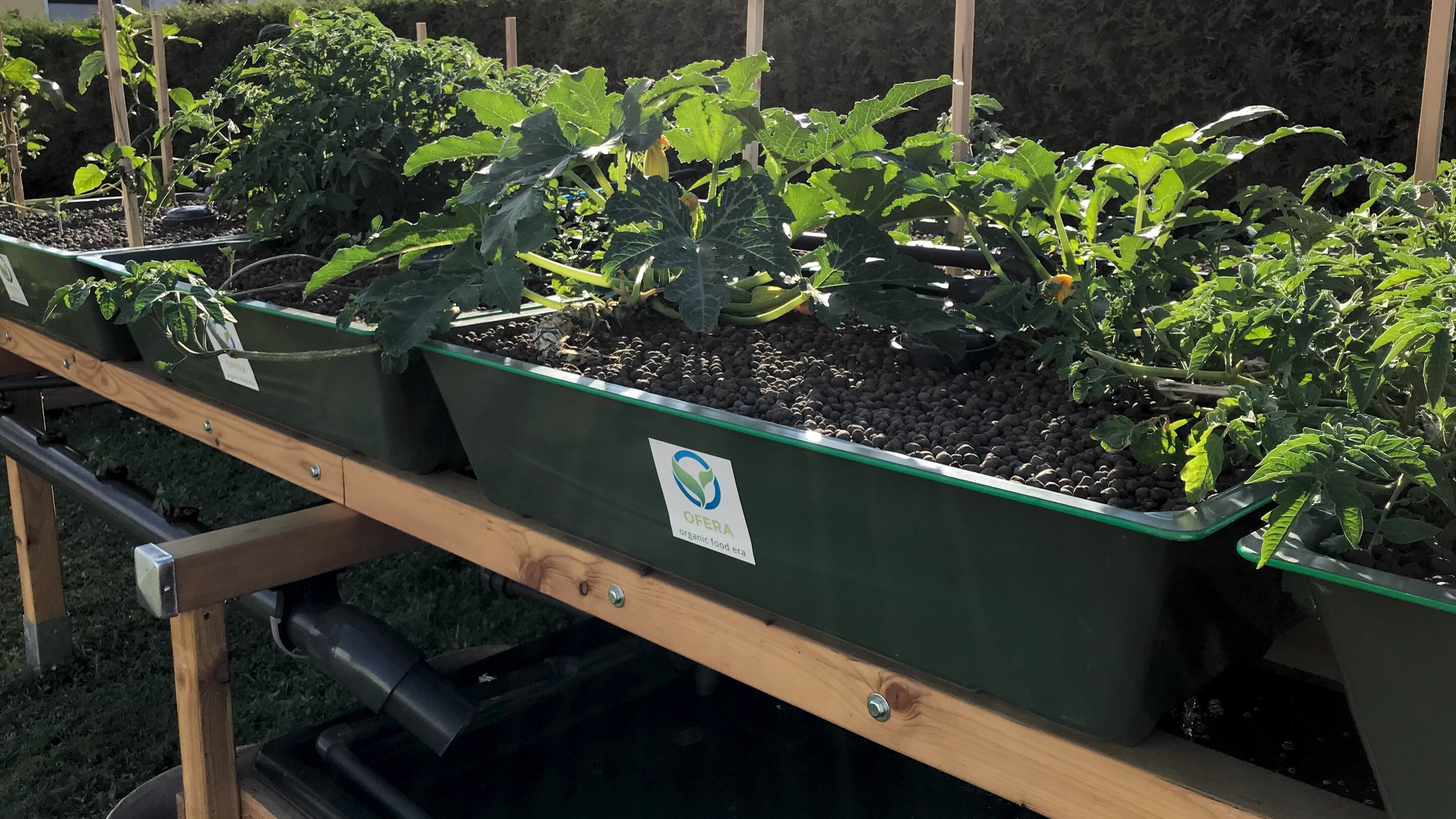 Warum saisonale Outdoor-Aquaponik in Europa sinnvoll ist – OFERA, image size:2880x1620