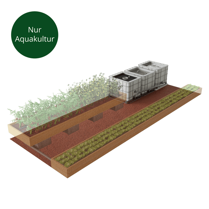 3 IBC Aquaponik Anlage, Nur Aquakultur