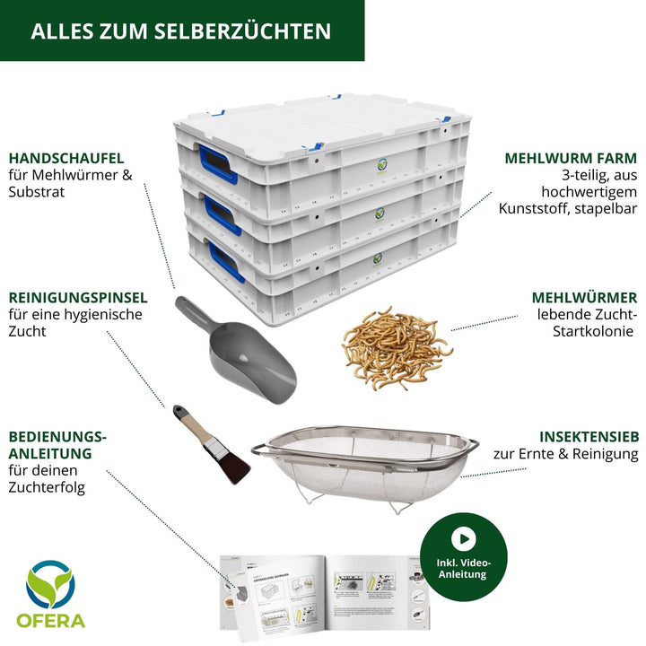 OFERA Mehlwurm Farm Kitchen Edition Lieferumfang