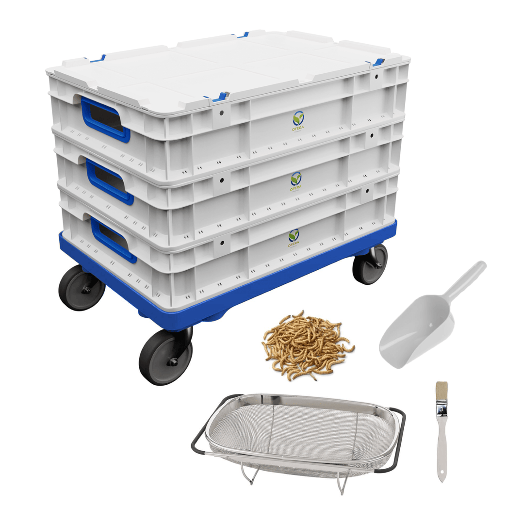 OFERA Mehlwurm Farm Kitchen Edition Komplettset