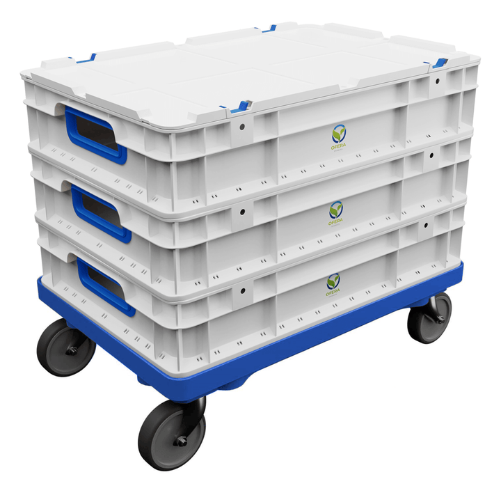 OFERA Mehlwurm Farm Kitchen-Edition - mit rollbarem Sockel in Blau
