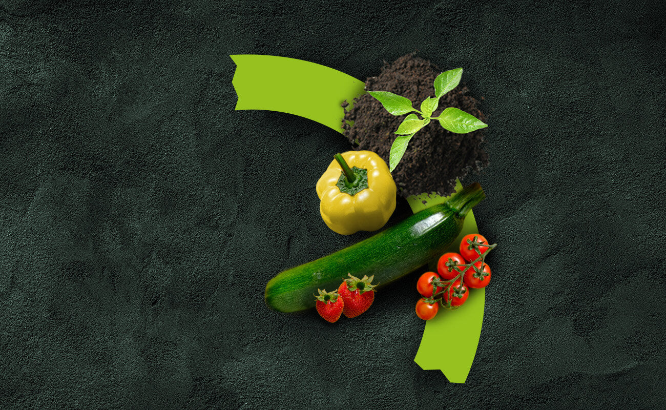 OFERA Cycle-Farming Kreislauf-Segment mit Gemüse und Jungpflanzen für nachhaltiges Gärtnern