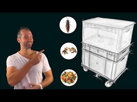 Video-Teaser from OFERA on How to Build & Start Your Own Black Soldier Fly Farming Bin