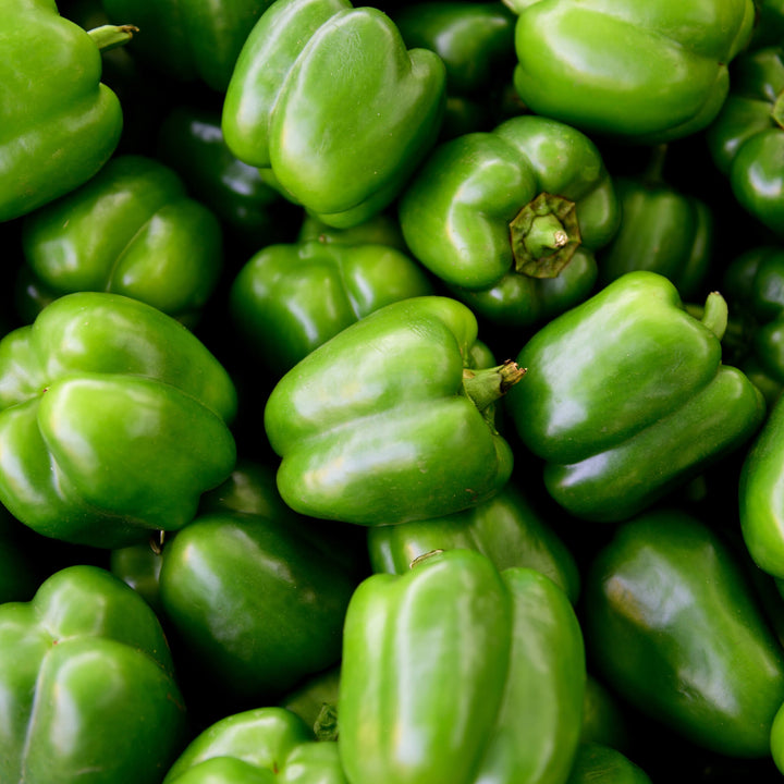 Grüner Paprika, Gemüse, Aquaponik, Hochbeet oder Garten