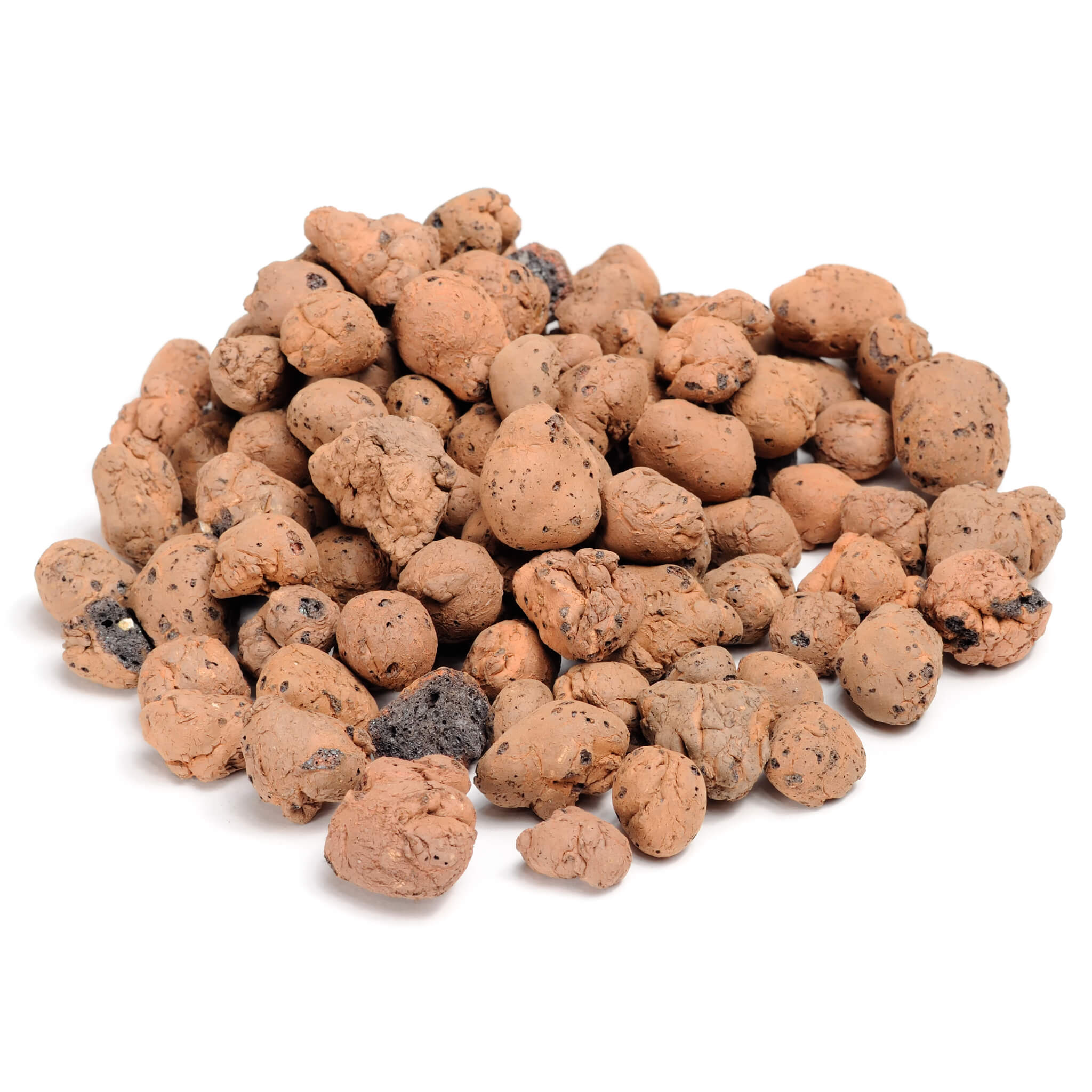 Aquaponik Pflanzton 8-16mm, Grow Media – OFERA
