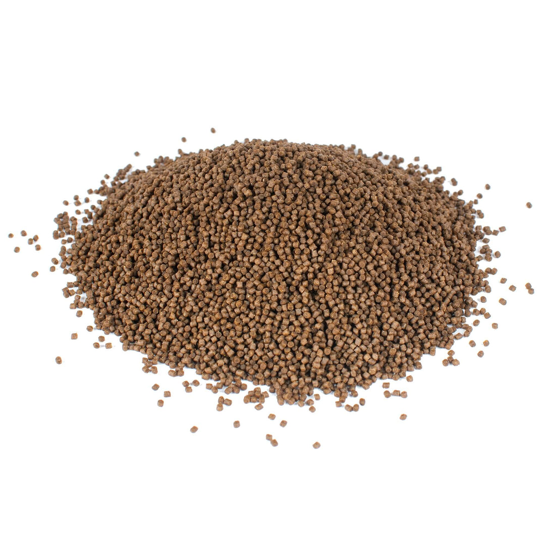 Aquaponics fish food, TILAPIA, ethoxyquin free