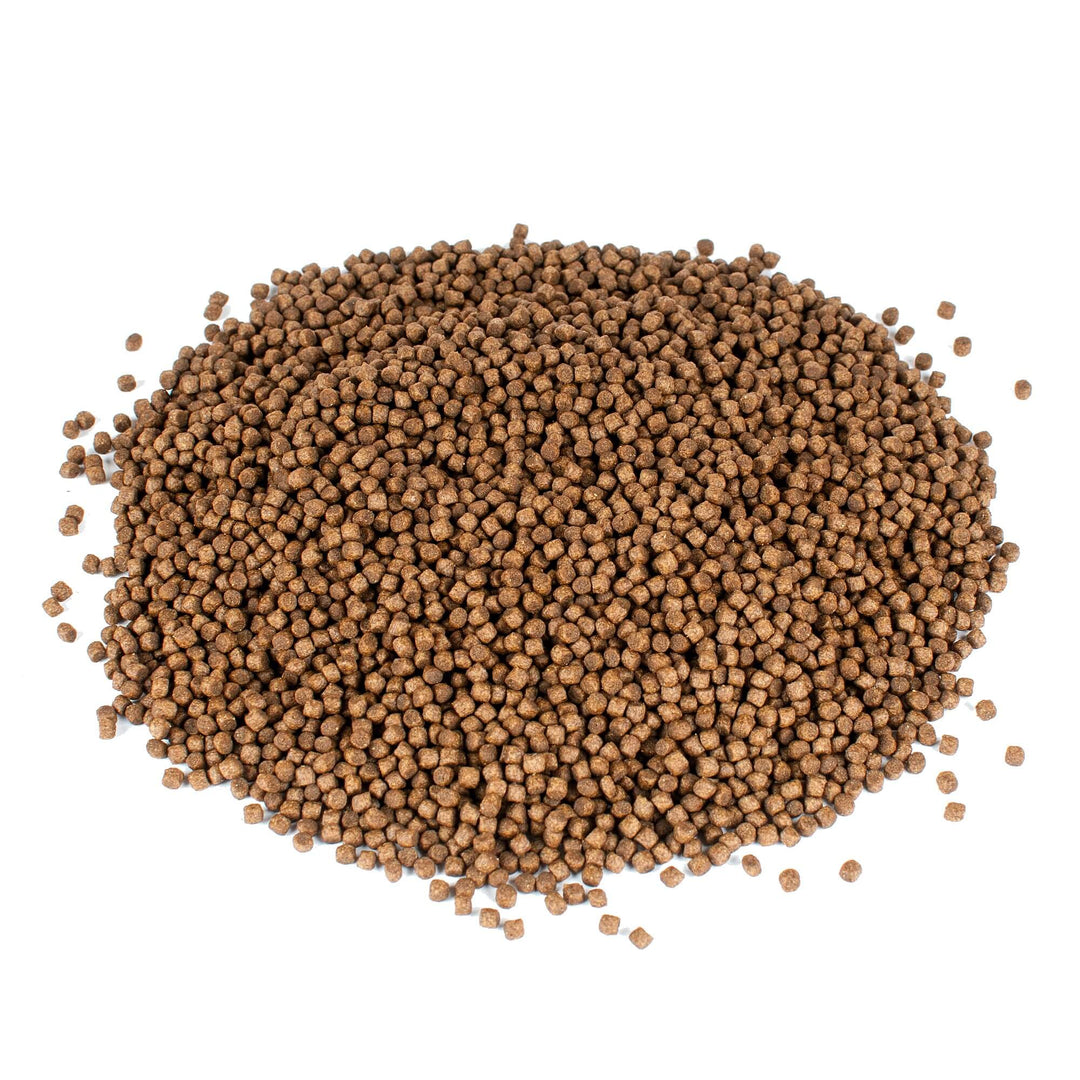 Aquaponics fish food, TILAPIA, ethoxyquin free