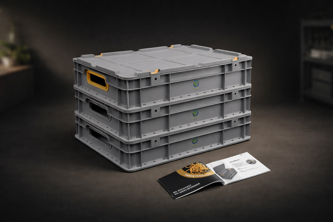 OFERA Mehlwurm Farm Test 2026: Die beste Mehlwurmzucht-Box für Anfänger und Profis?