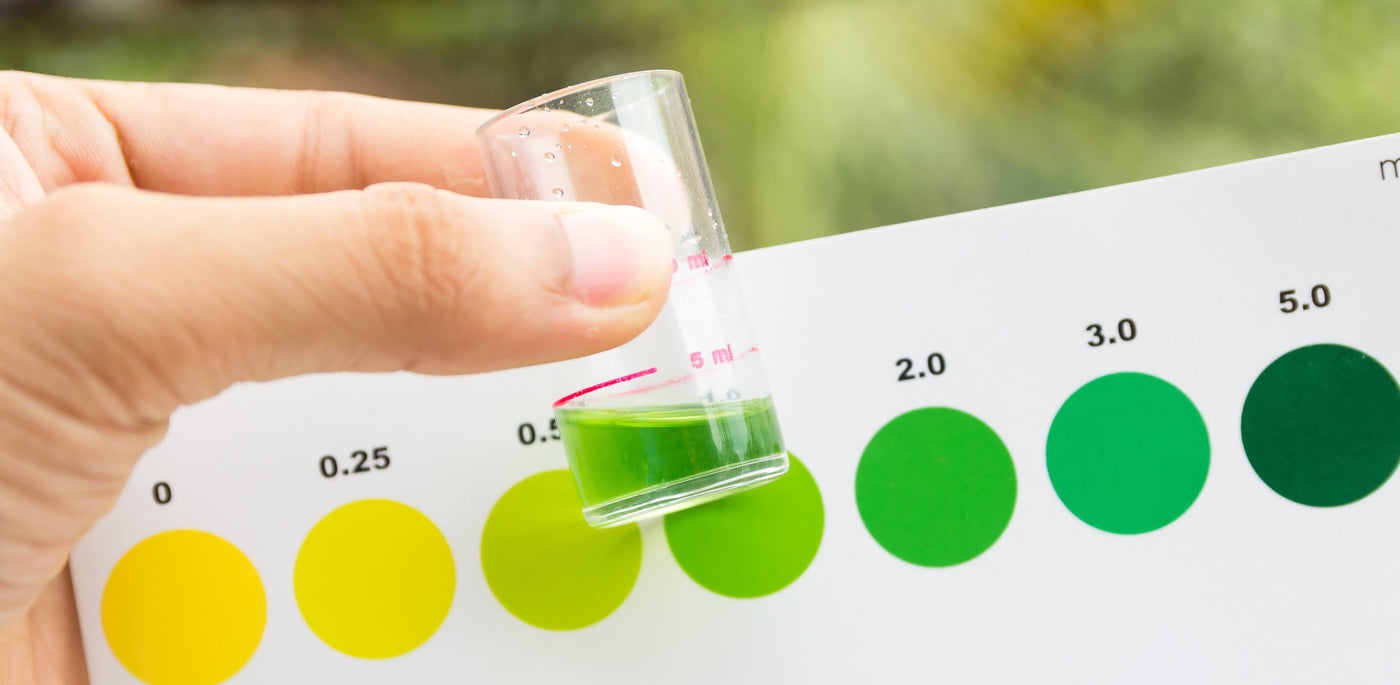 Aquaponik Wasserwerte messen mit Testglas und Farbkarte