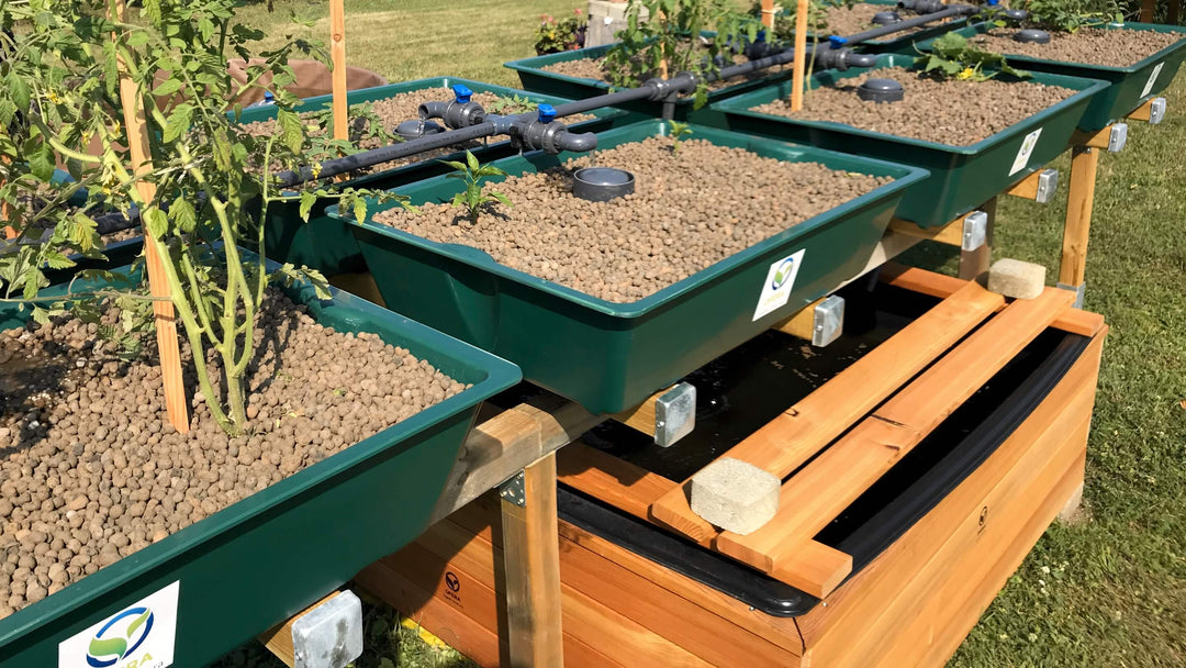 OFERA Aquaponik Anlage selber bauen