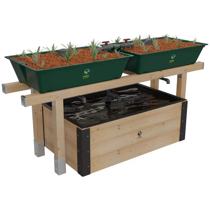 Aquaponik für Zuhause – Nachhaltig Gemüse & Fisch gleichzeitig anbauen