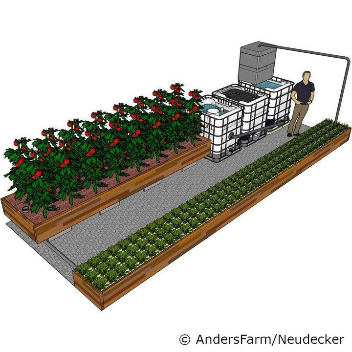 3 IBC Aquaponik Hochleistungsanlage - Bauanleitung & Bausatz mit Bauteilen & Komponenten, Eigenbau-Set