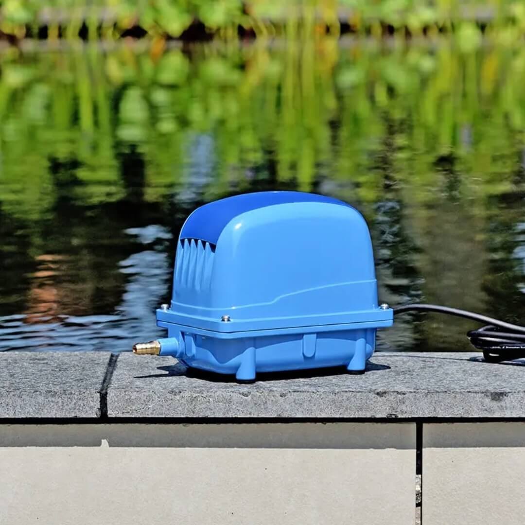 Aquaponik Luftpumpe, Teichbelüfter, AP-80, blau, Seitenansicht am Teich