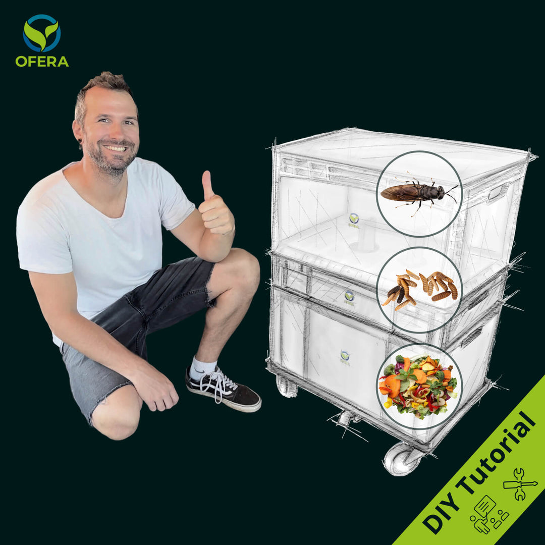Stefan from OFERA showing the Black Soldier Fly Farming Box DIY Tutorial