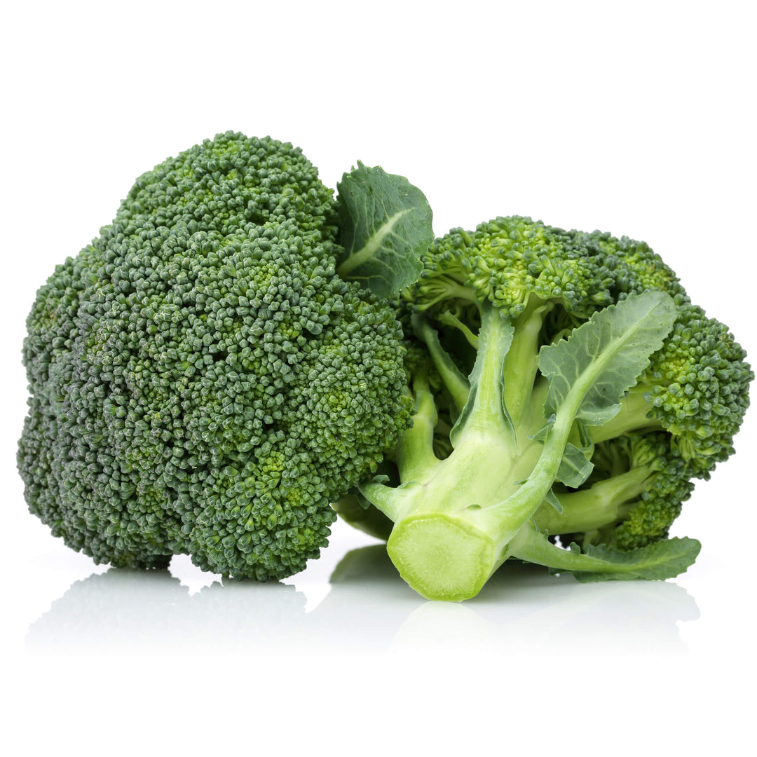 Bio Brokkoli Gemüse aus Aquaponik, Hochbeet und Garten
