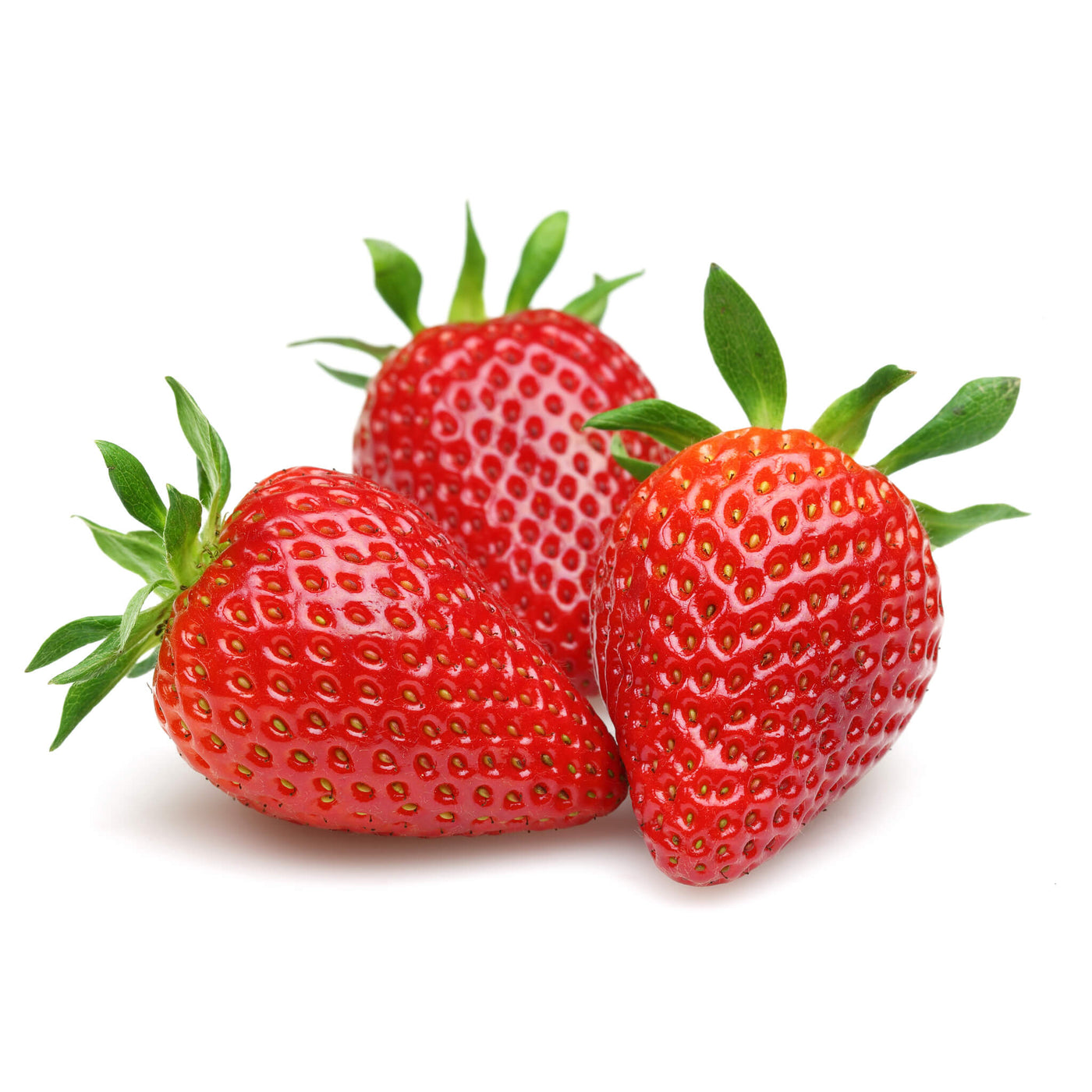 Erdbeeren, Aquaponik, Hochbeet oder Garten