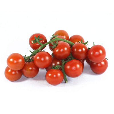 Bio Cocktailtomate, Gemüse aus Aquaponik, Hochbeet und Garten