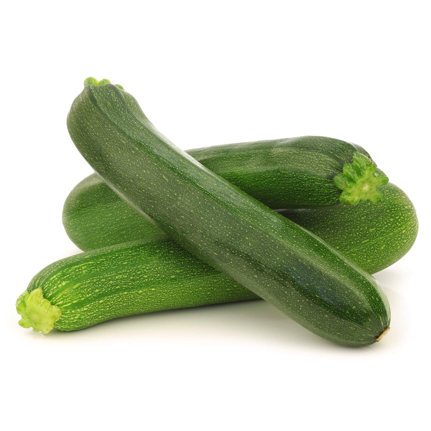 Zucchini Gemüse, Aquaponik, Hochbeet oder Garten